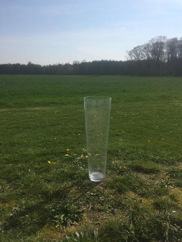 Grote glazen vaas beschikbaar voor biedingen