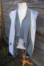 Vest grijs Just White mt 50 Vaste prijs, Kleding | Dames, Maat 46/48 (XL) of groter, Ophalen of Verzenden, Zo goed als nieuw, Just White