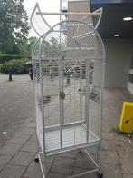 grijze roodstaart papegaai vogel kooi, Dieren en Toebehoren, Vogels | Hokken en Kooien, Ophalen, Zo goed als nieuw, Metaal, Vogelkooi