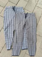 Rijbroeken pikeur, Ophalen of Verzenden, Gebruikt, Dressuur, Onderkleding