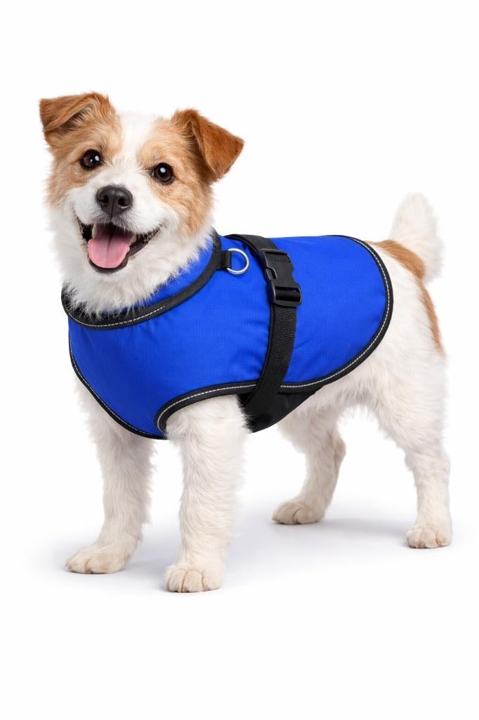 Partij blauwe vesten voor honden maat XS