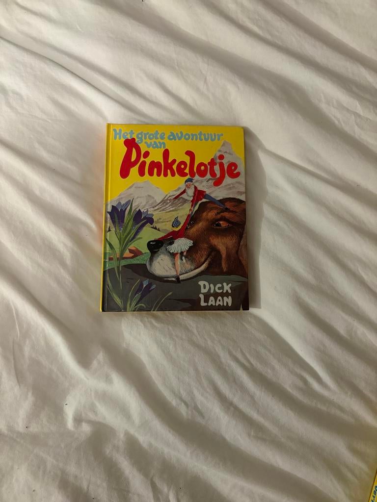 Het grote avontuur van Pinkelotje - Dick Laan, Boeken, Ophalen of Verzenden, Gelezen, Fictie algemeen