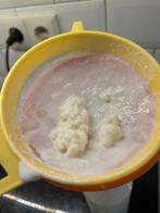 Verse melkkefir korrels, Diversen, Ophalen