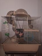 Hamsterkooi met accessoires, voer en bodembedekking, Kooi, Minder dan 75 cm, Hamster, Minder dan 60 cm