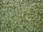 Gratis Kunstgras - Zelf verwijderen (40m2), Tuin en Terras, Gras en Kunstgras, Ophalen, Gebruikt, 20 m² of meer, Kunstgras