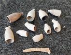 Pijpekoppen 16de/17e/18de/19de eeuw, Ophalen of Verzenden