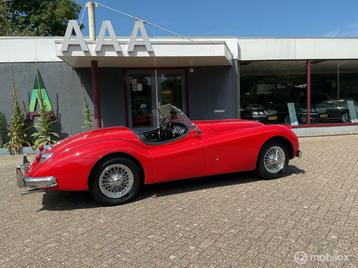 Jaguar XK 140 OTS Top Conditie beschikbaar voor biedingen