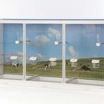 Birdsupply bijna nieuwe kamervoliere, Dieren en Toebehoren, Ophalen, Zo goed als nieuw, Metaal, Overige typen