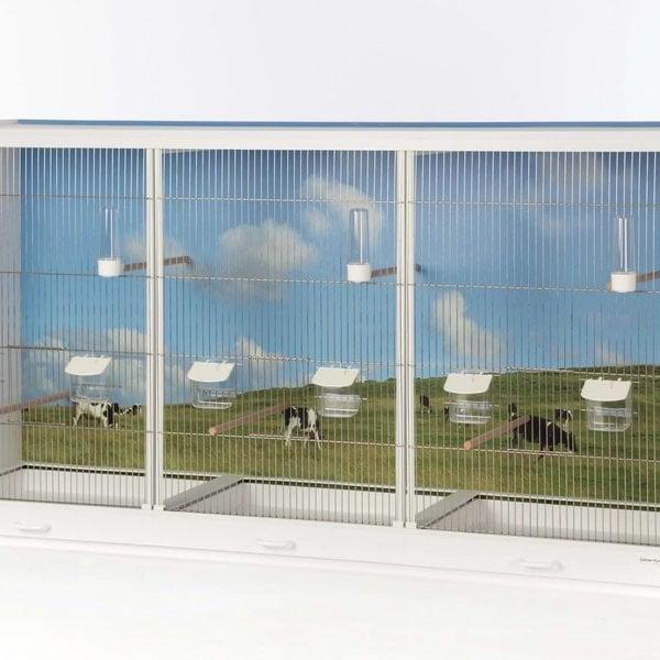 Birdsupply bijna nieuwe kamervoliere, Dieren en Toebehoren, Vogels | Hokken en Kooien, Zo goed als nieuw, Overige typen, Metaal