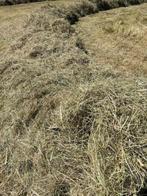 Voordrooghooi- zeer geschikt voor paarden!, Dieren en Toebehoren, Ophalen, Nieuw, Overige soorten