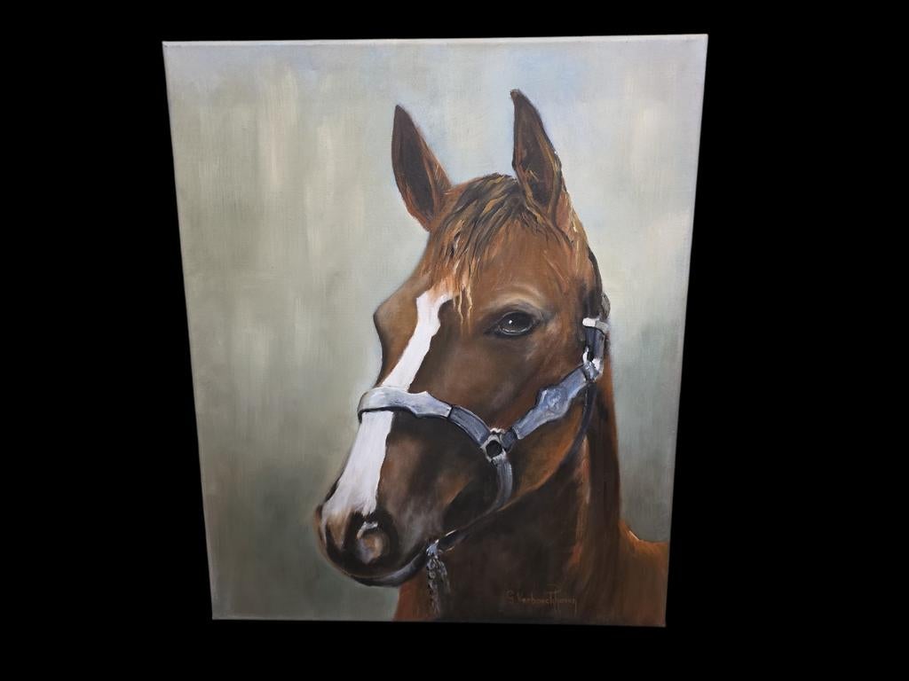 Paardenschilderij.Gesign., Ophalen of Verzenden