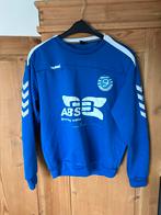 Graafschap Hummel Trui Blauw, Ophalen of Verzenden, Zo goed als nieuw, Overige maten, Blauw