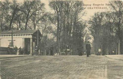 (301-068-041) Den Haag Haagsche Bosch, Verzamelen, Ansichtkaarten | Nederland, Zuid-Holland, Verzenden