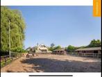 Paardenstal te huur Ridderkerk, Dieren en Toebehoren, Stalling en Weidegang, Stalling, 2 of 3 paarden of pony's