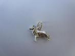 Nieuw == BORDER COLLIE = Bedel == Hanger == Zilver, Nieuw, Ophalen of Verzenden, Zilver, Dier