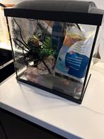 SuperFish aquarium Start 30 Tropical Kit zwart 25 L, Dieren en Toebehoren, Vissen | Aquaria en Toebehoren, Ophalen, Zo goed als nieuw