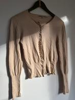 Erny van Reijmersdal vestje, Kleding | Dames, Ophalen of Verzenden, Zo goed als nieuw, Maat 38/40 (M), Lange mouw