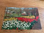 X32) Lisse Keukenhof, Ophalen of Verzenden