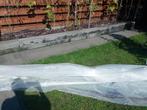 Foliekas_Transparant gewapend PE afdekzeil 5x5 meter, Ophalen of Verzenden, Zo goed als nieuw, 15 m² of meer, Folie