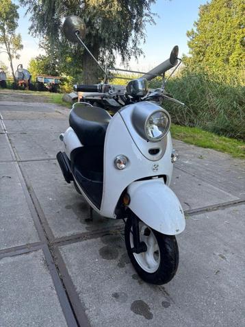 agm snorsnorbrommer blauw kenteken f939hz beschikbaar voor biedingen