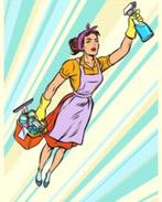 Hulp in de huishouding aangeboden, Diensten en Vakmensen, Huishoudelijke hulp, Wassen