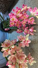 Zijde orchideeën, Huis en Inrichting, Woonaccessoires | Kransen, Ophalen of Verzenden, Zo goed als nieuw