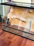 Mooi Terrarium 1005040 met 3D Achterwand – Glas – Goed, Dieren en Toebehoren, Ophalen, Zo goed als nieuw, H, H