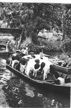 Giethoorn, Ophalen of Verzenden, 1960 tot 1980, Gelopen, Overijssel
