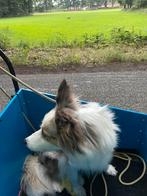 Bakfiets, Fietsen en Brommers, Fietsen | Bakfietsen, Ophalen of Verzenden, Gebruikt, Overige merken