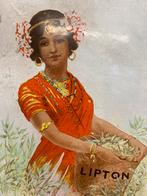 Emaille recl.bord LIPTON THEE 51x76 Eng.jaren 20-30, Ophalen, Gebruikt, Reclamebord