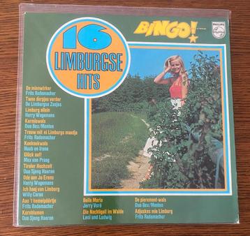 LP 16 Limburgse Hits Bingo beschikbaar voor biedingen