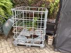 Ibc krat voor haardhoutopslag, Ophalen, Gebruikt, 100 cm of meer, 60 cm of meer