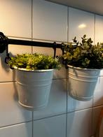 Leuke decoratieve rekjes keuken met plantjes in pot, Ophalen of Verzenden, Overige kleuren, Minder dan 50 cm