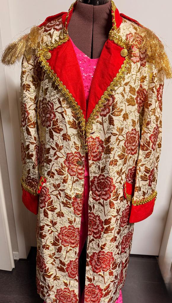 Carnavals lange jas.  Maat 56, Ophalen of Verzenden, Zo goed als nieuw, Maat 56/58 (XL), Kleding