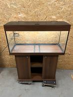 Dubai 100, Dieren en Toebehoren, Vissen | Aquaria en Toebehoren, Ophalen, Gebruikt, Overige typen