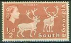 South Georgia 1963, QEII, Rendier, 1/2d, postfris/plakspoor, Postzegels en Munten, Postzegels | Thematische zegels, Dier of Natuur