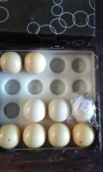 7 witte pool ballen 57 mm, Ophalen of Verzenden, Nieuw