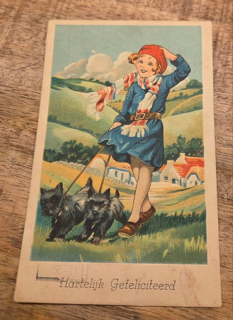 Meisje laat twee Schotse terriërs uit in de wind, Verzenden, 1940 tot 1960, Gelopen, Kinderen