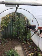 Kweekkast, Tuin en Terras, Kassen, Gebruikt, Folie, Kweekkas, Ophalen