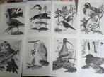 28 zwart/wit natuurplaten op stevig papier, Ophalen of Verzenden
