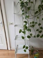 Witte ladderplank, 5 planken, 165cm, nette staat, Huis en Inrichting, Ophalen of Verzenden, Zo goed als nieuw