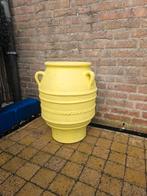 Olijfkruik, Ophalen, Gebruikt