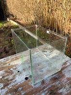 Aguarium, Dieren en Toebehoren, Ophalen of Verzenden