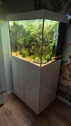 Juwel Lido 200 aquarium wit, Ophalen, Zo goed als nieuw, Leeg aquarium