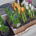 Kunst tulpen op stoere pot, Huis en Inrichting, Woonaccessoires | Kunstplanten en Kunstbloemen, *, *, Nieuw, Ophalen of Verzenden