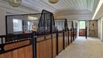 Voorwand | Luxe Model C | Nieuw | Paardenbox | 04, Stalling, 4 paarden of pony's of meer