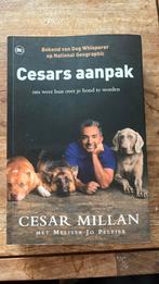 Cesar Millan - Cesars aanpak, Boeken, Dieren en Huisdieren, Honden, Cesar Millan, Ophalen of Verzenden