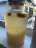 Water Kefir, Diversen, Ophalen