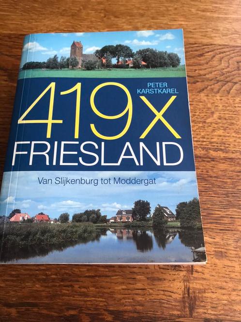 419x Friesland van slijkenburg tot moddergat, Boeken, Geschiedenis | Stad en Regio, Gelezen, 20e eeuw of later, Ophalen of Verzenden