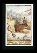 Konijn illustrator Sjoerd Kuperus (4), Ophalen of Verzenden, 1920 tot 1940, Gelopen, Overige thema's